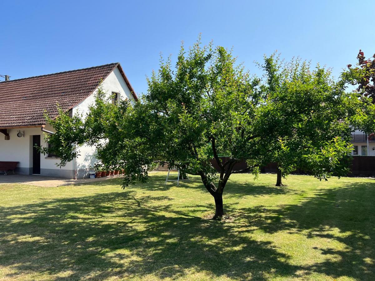 Bonne Idee - Suite Georgette - Meuble De Tourisme 3 Etoiles Châtenois Zewnętrze zdjęcie