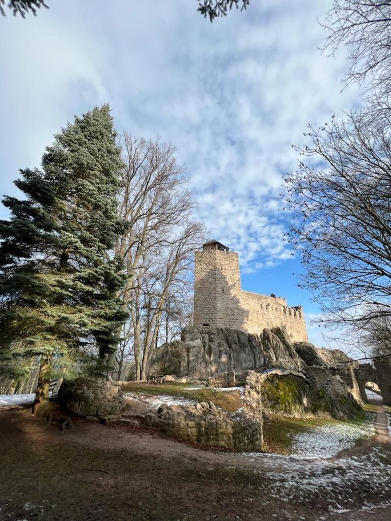 Bonne Idee - Suite Georgette - Meuble De Tourisme 3 Etoiles Châtenois Zewnętrze zdjęcie